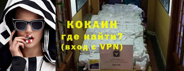 шишки Богданович