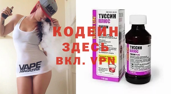 индика Усмань