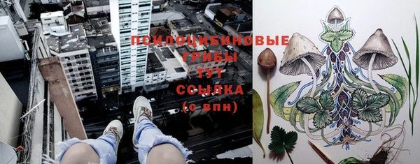 шишки Богданович