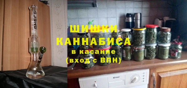 шишки Богданович